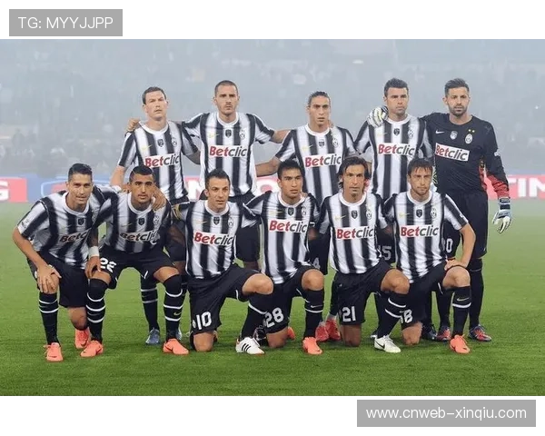 球迷文化研究:意甲各俱乐部支持者群体特征与传统 球迷文化研究:意甲各俱乐部支持者群体特征与传统